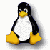 I started to play with Linux long ago